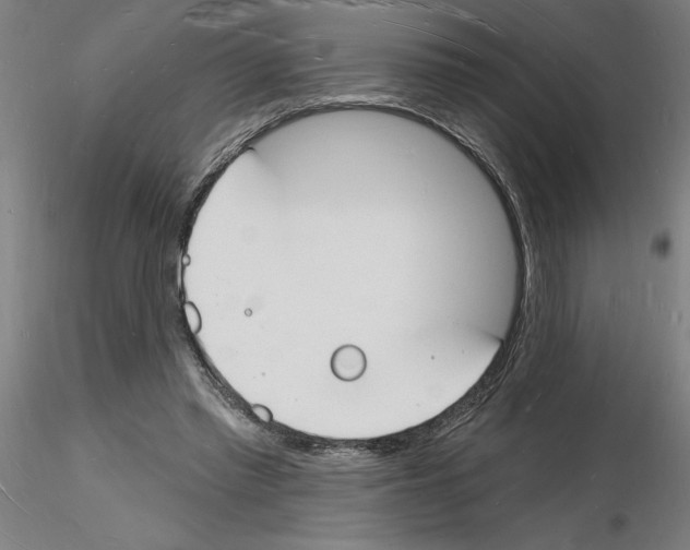 X0000116130397201001041016