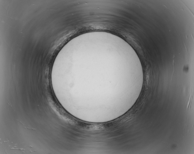 X0000116130398201001041016
