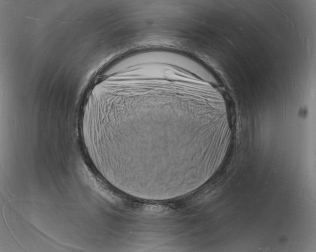 X0000116130399201001041016