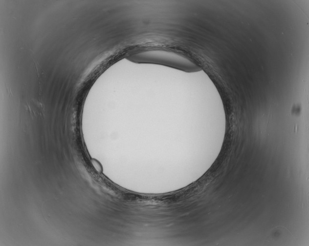 X0000116130400201001041016