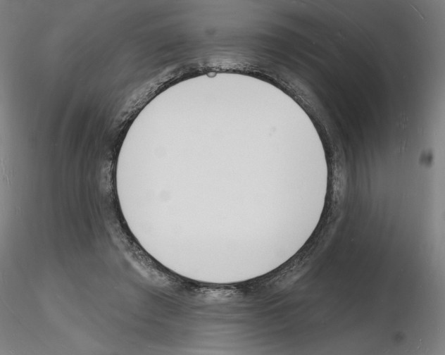 X0000116130401201001041016