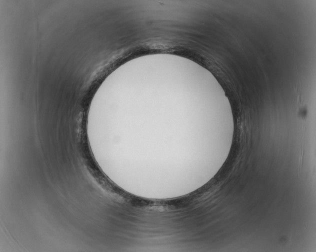X0000116130404201001041016