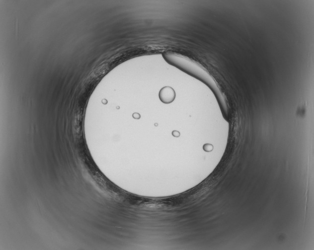 X0000116130408201001041016