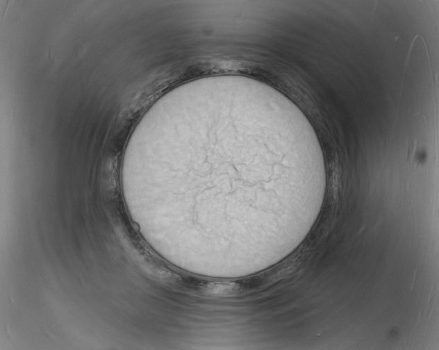 X0000116130410201001041016