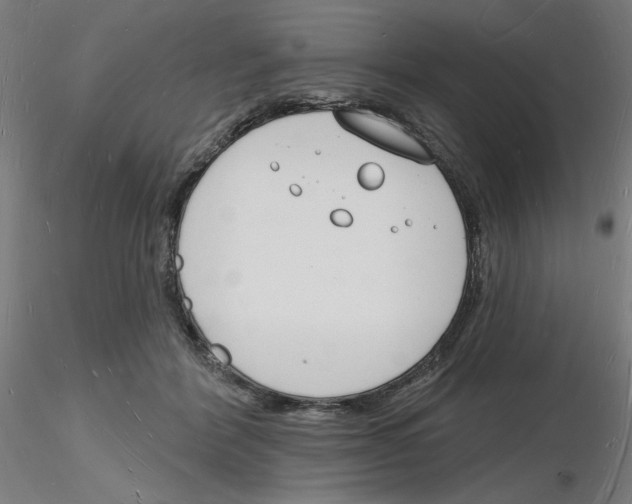 X0000116130412201001041015