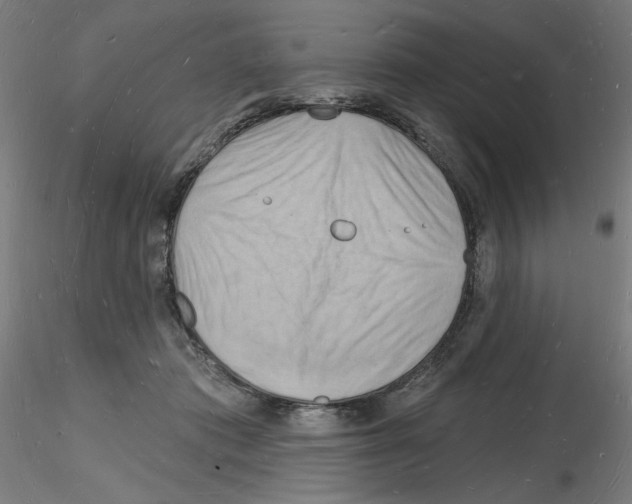 X0000116130413201001041015