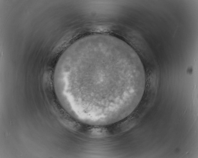 X0000116130415201001041015