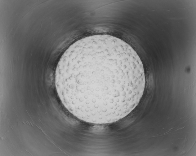 X0000116130418201001041015