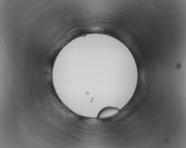 X0000116130421201001041015