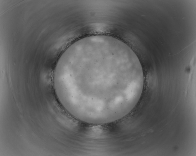 X0000116130423201001041015