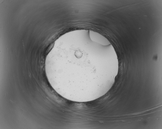 X0000116130424201001041015