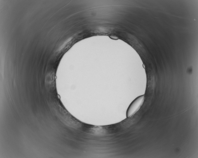 X0000116130425201001041015