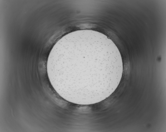 X0000116130426201001041015