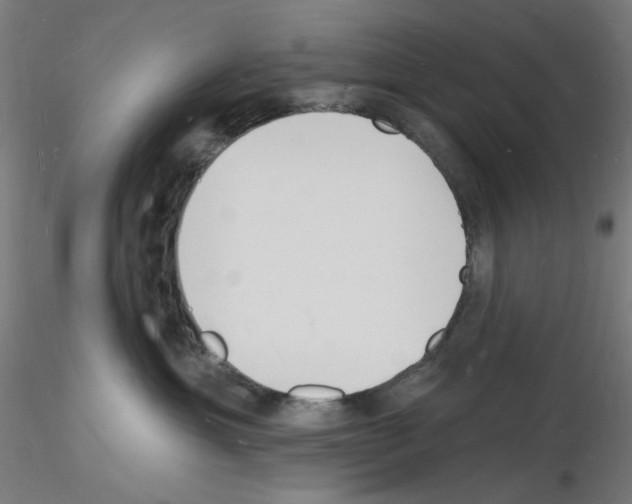 X0000116130429201001041015