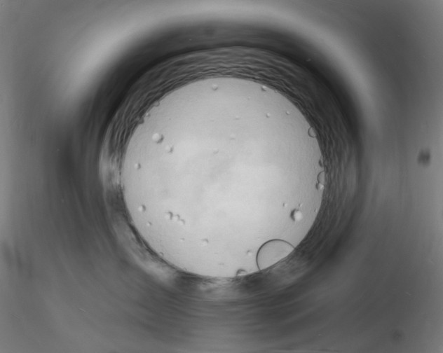 X0000116130431201001041015