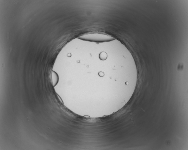 X0000116130432201001041015