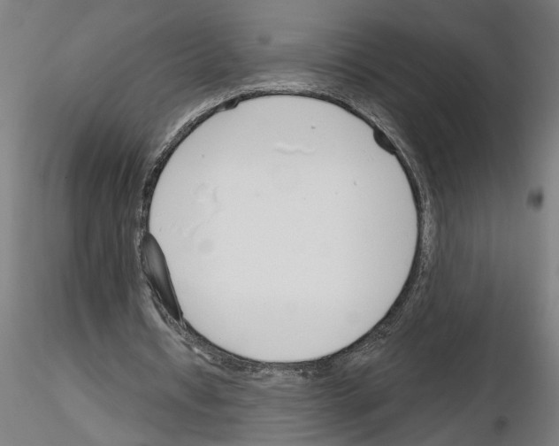 X0000116130434201001041015