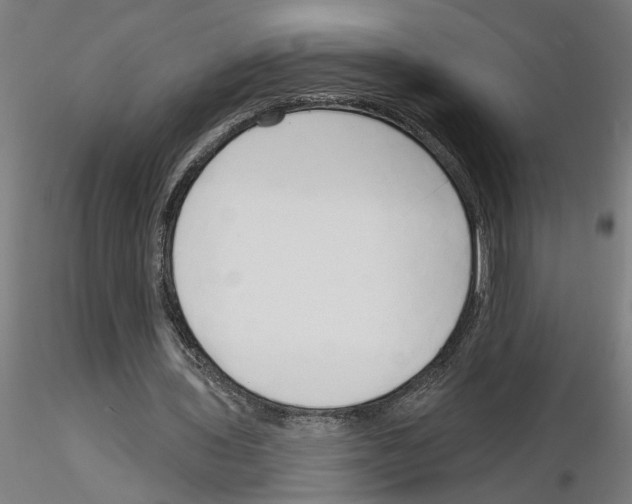 X0000116130435201001041015