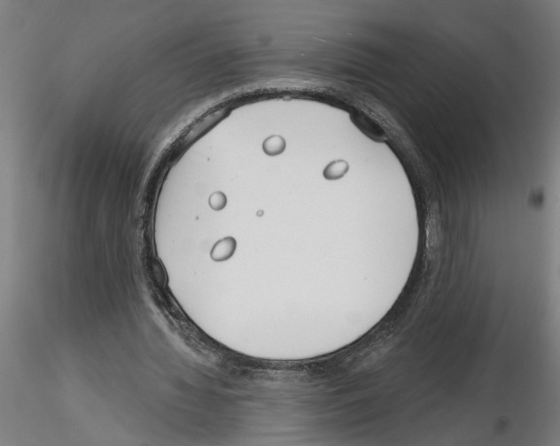 X0000116130436201001041015
