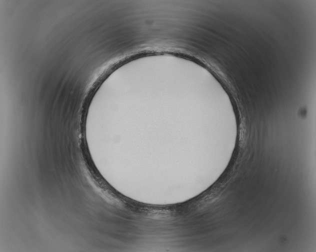 X0000116130438201001041015