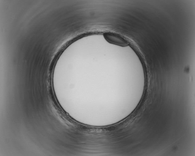 X0000116130439201001041015