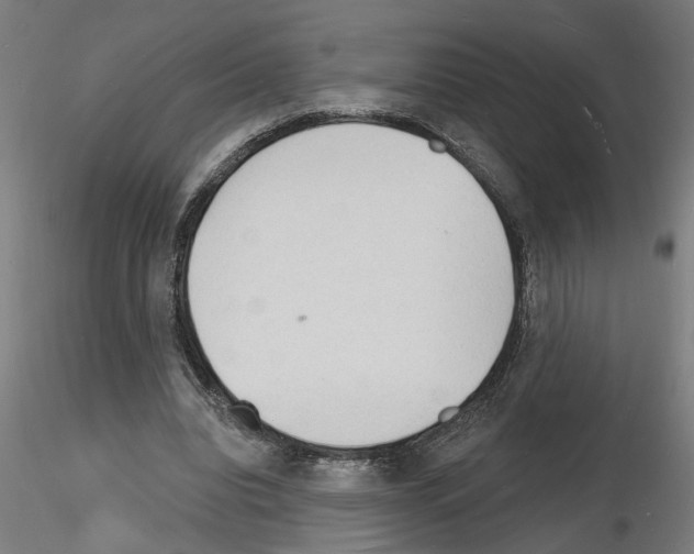 X0000116130440201001041015