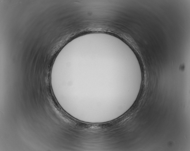 X0000116130441201001041015
