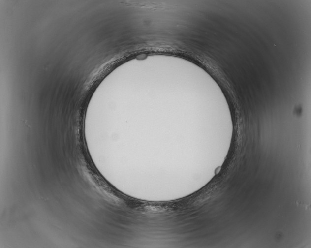 X0000116130442201001041015
