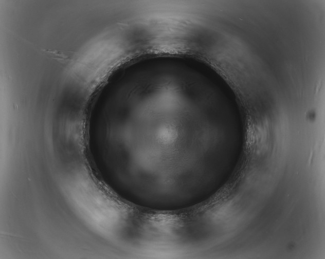 X0000116130444201001041015