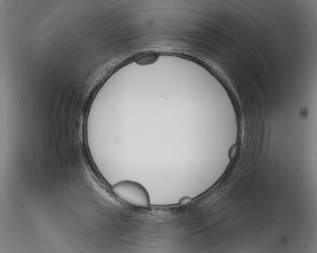 X0000116130445201001041015