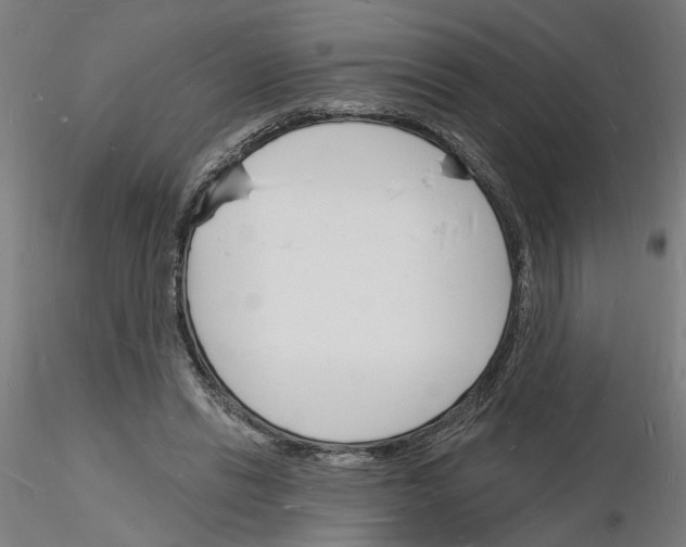 X0000116130446201001041015