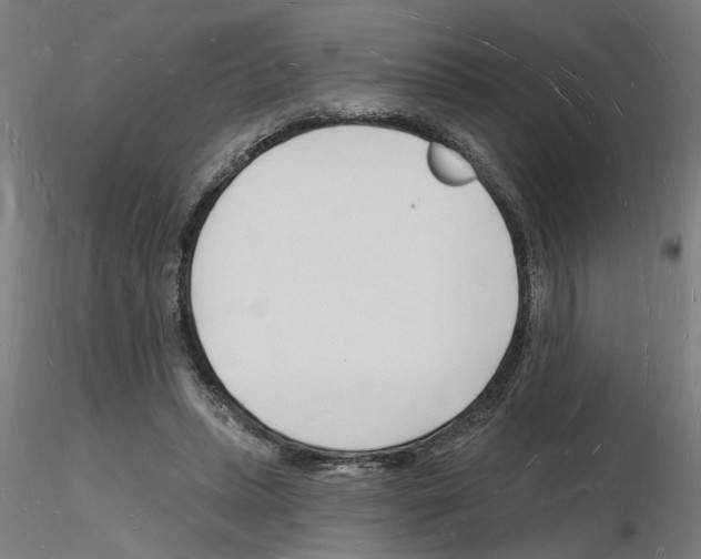 X0000116130447201001041015