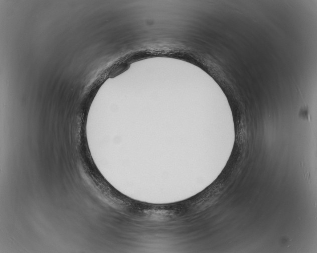 X0000116130448201001041015