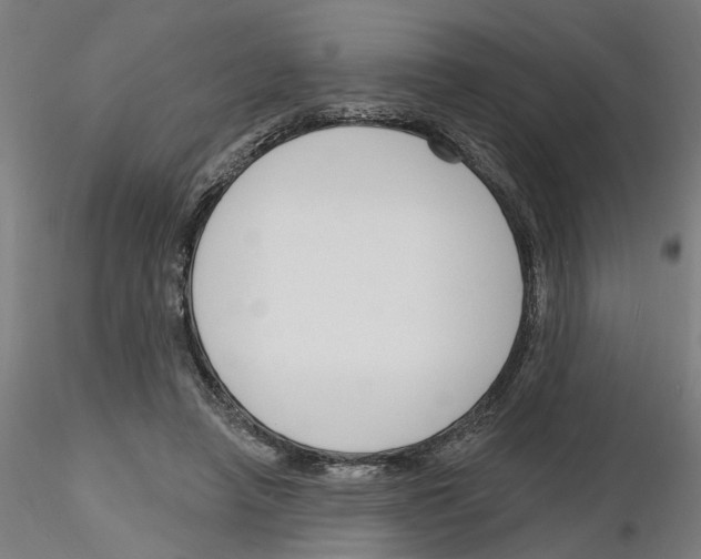 X0000116130450201001041015