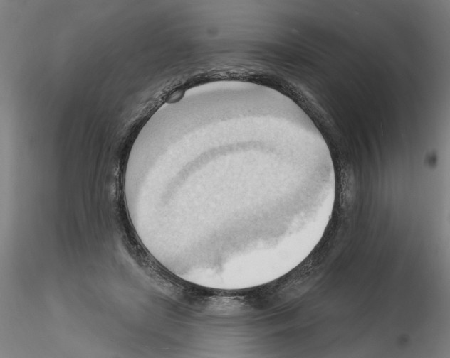 X0000116130451201001041015