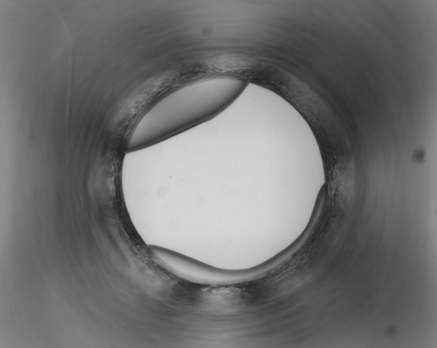X0000116130452201001041015