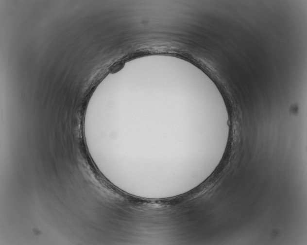 X0000116130453201001041015