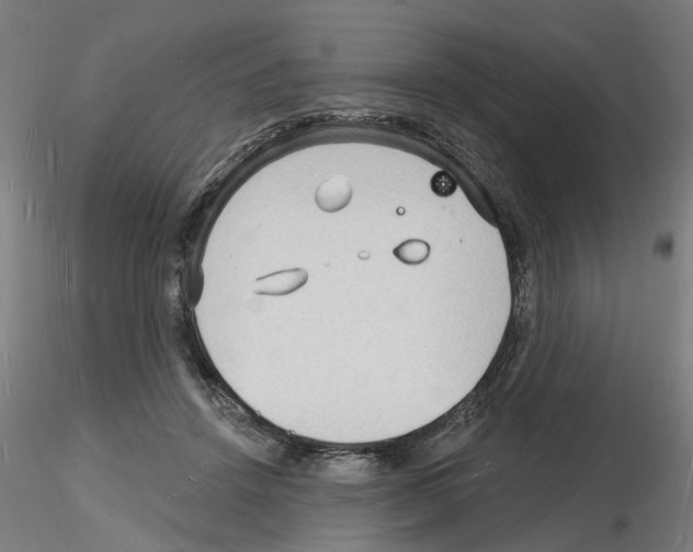 X0000116130456201001041015