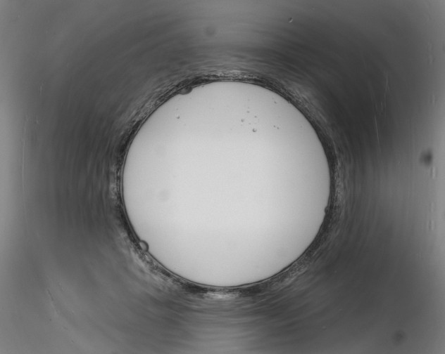 X0000116130457201001041015