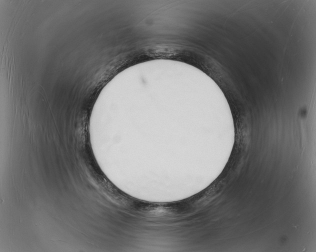 X0000116130460201001041015