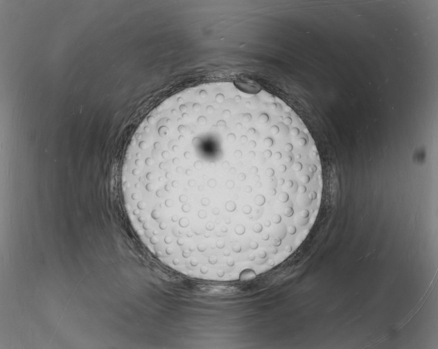 X0000116130463201001041015