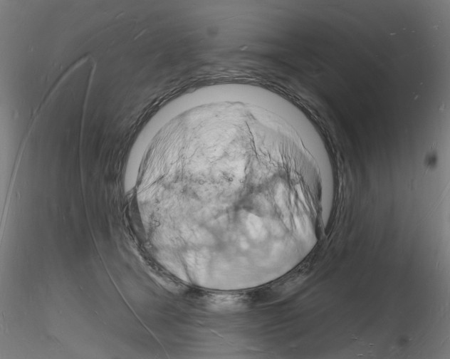 X0000116130465201001041015