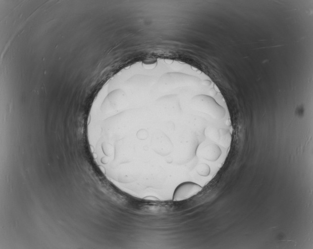 X0000116130466201001041015