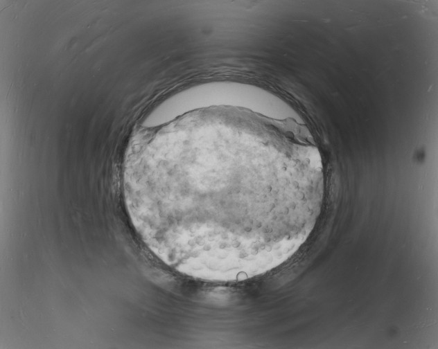 X0000116130467201001041015