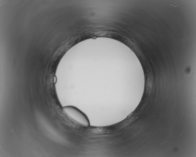 X0000116130473201001041015