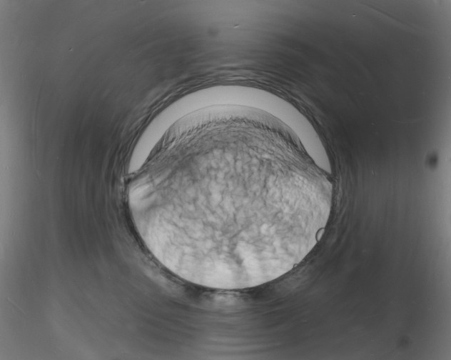 X0000116130475201001041015