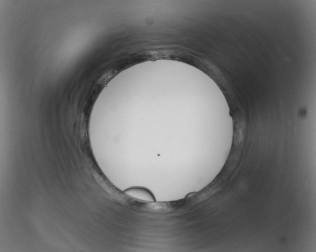 X0000116130477201001041015
