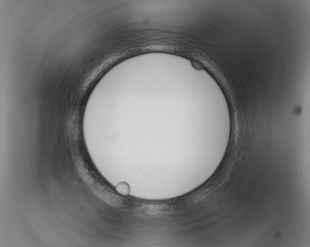 X0000116130482201001041015