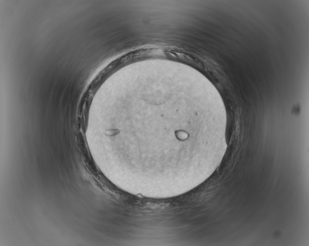 X0000116130484201001041014