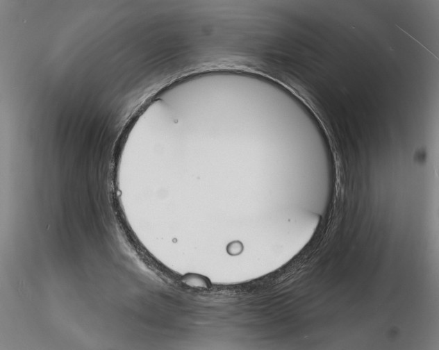 X0000116130485201001041014